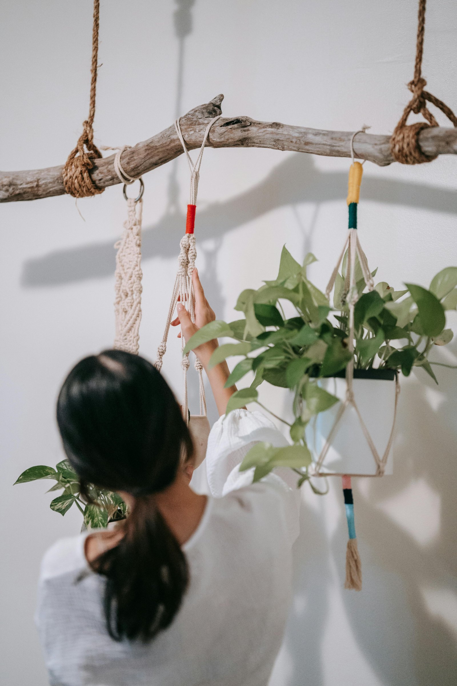 A woman adjusts macrame plant hangers with greenery on a wooden branch indoors.